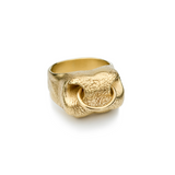 Bull Nose Ring in 9ct Yellow Gold