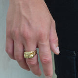Bull Nose Ring in 9ct Yellow Gold