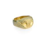 Cat Nose Ring in 9ct Yellow Gold
